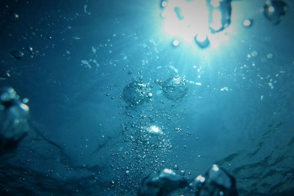 Silent Guardians Of Pure Water: The Fascinating Hose Clamps