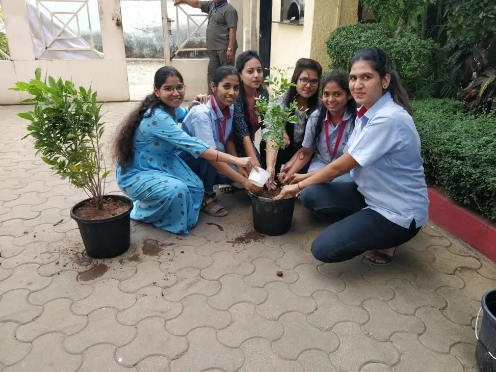 Jolly Clamps tree planting initiative for ecosystem restoration